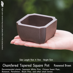 กระถางพลาสติกทรง<span class=keywords><strong>สี</strong></span>่เหลี่ยมสำหรับปลูกไม้อวบน้ำ ก้นเรียวพร้อมรูระบายน้ำ เป็นมิตรกับสิ่งแวดล้อม เหมาะสำหรับทำสวนที่บ้าน วางบนขอบหน้าต่างหรือโต๊ะทำงาน <span class=keywords><strong>ราคา</strong></span>พิเศษ - Product Image 1