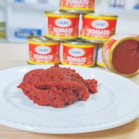 Pâte de tomate double concentrée en conserve 28%-30%