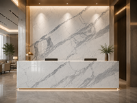 Dalle de marbre blanc Statuario pour revêtement mural haut de gamme, îlot de cuisine, plan de travail de salle de bain, carrelage de sol et panneau mural de fond