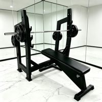 Banc de musculation à charge libre robuste pour usage commercial avec support de sécurité traversant et rangement pour plaques