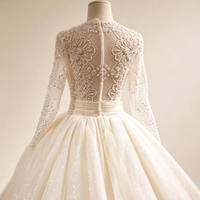 Robe de mariée de luxe moderne, style princesse, longue jusqu'au sol, col en V, manches longues, avec appliques en dentelle, traîne chapelle, en tulle scintillant