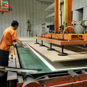 Hạt-Hội Đồng Quản Trị-Sản xuất-Nhà máy <span class=keywords><strong>flakeboard</strong></span> 19mm ván tường tấm bã mía ván dăm - Product Image 3