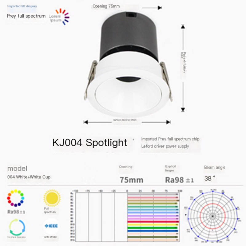 White+White 004 Spotlight