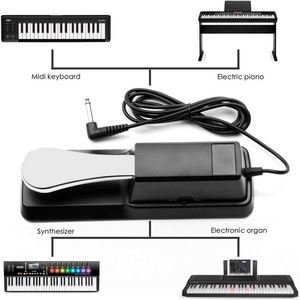 China Wholesale Double Sustain Pedal For Keyboards Piano Parts - Product Image 4