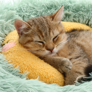 HIPHOPPET Oreiller en forme de U pour <span class=keywords><strong>chat</strong></span> Aide au sommeil et protection cervicale Lit doux pour animaux de compagnie pour chats Petits chiens <span class=keywords><strong>Coussin</strong></span> en peluche résistant aux morsures - Product Image 2