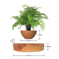 Maceta Magnética Levitante con Diseño en Forma de Tazón, Moderna y Redonda, Puede Cultivar Albahaca, Aloe Vera, Menta, Regalo Decorativo de Año Nuevo