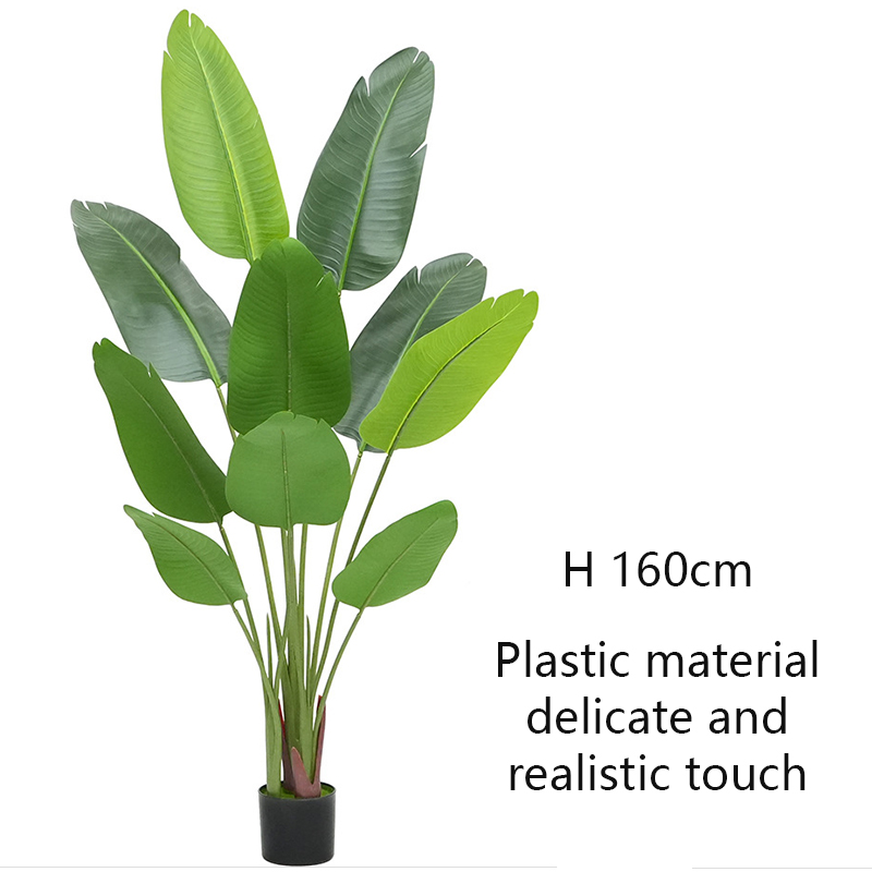 verde Tipo B 160cm