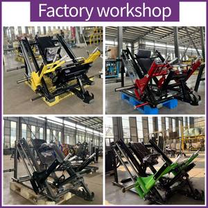 BM Factory Direct Commercial Rowing & Back Trainer, Équipement de musculation professionnel pour salle de sport, personnalisation OEM/ODM prise en charge. - Product Image 2