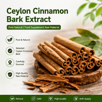 Extrait de Cannelle de Ceylan Pur et Naturel en Poudre, Vente en Gros Usine, pour Complément Alimentaire et Matière Première