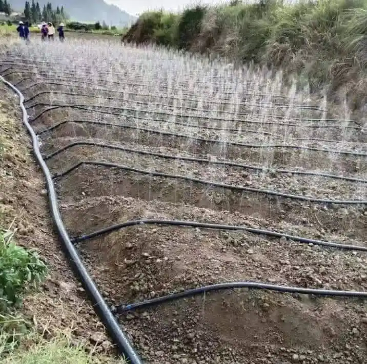 Plentichuva tubo de irrigação, tubo de irrigação pe micro spray de chuva de 32mm de diâmetro para sistema de irrigação na fazenda