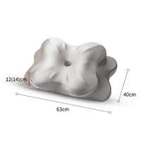 JeeBay OEM ODM Oreiller ergonomique en mousse à mémoire de forme rafraîchissante, à rebond lent, avec housse amovible, pour le soulagement des douleurs cervicales, un sommeil sain et anti-ronflement