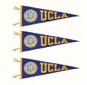 Professional Customizable Digital Printing University Felt Triangle <b>Banners</b> Portable Waterproof Eco-Friendly - Product Image 1