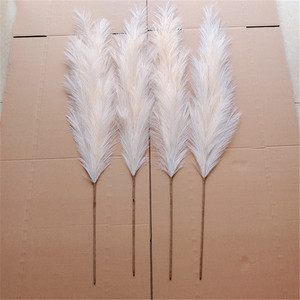 Pampas-Servicio de Inspección de hierba, control de calidad de inspección de tres partes, en la zona de Shandong Yunnan - Product Image 2