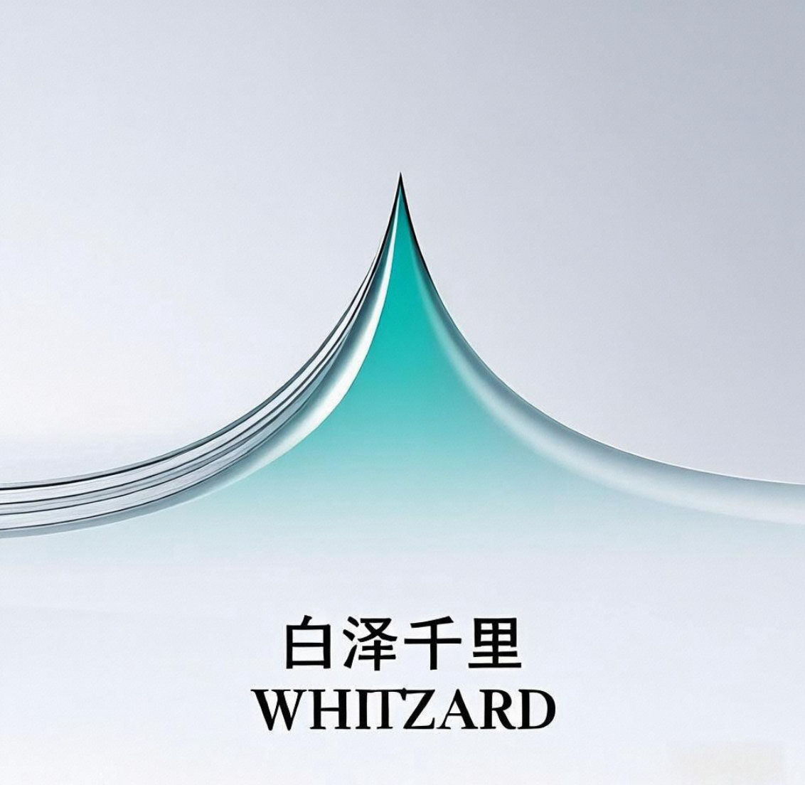 Whitzard Medical Technology (china) Co., Ltd. logo