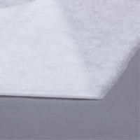 Tela termoadhesiva soplada en fusión hecha en Taiwán de la mejor venta para la industria textil