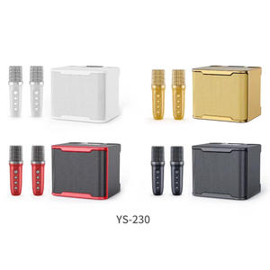 YS230 Nuevo Barato 4ohm 10W Dual MIC Cambio de tono de corte vocal Recargable Blue Tooth Home Party 2022 Potente altavoz de karaoke de graves - Product Image 2
