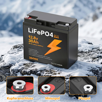 Batterie LiFePO4 12,8 V 30 Ah en stock UE, certifiée CE RoHS, légère (3,2 kg) pour camping-car, camping, bateau, système solaire – Packs de batteries au lithium
