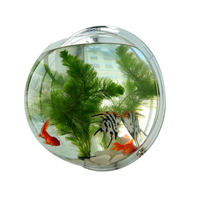 Jardinière murale en acrylique, vase hydroponique, aquarium suspendu créatif, décoration murale pour la maison, salon, chambre à coucher