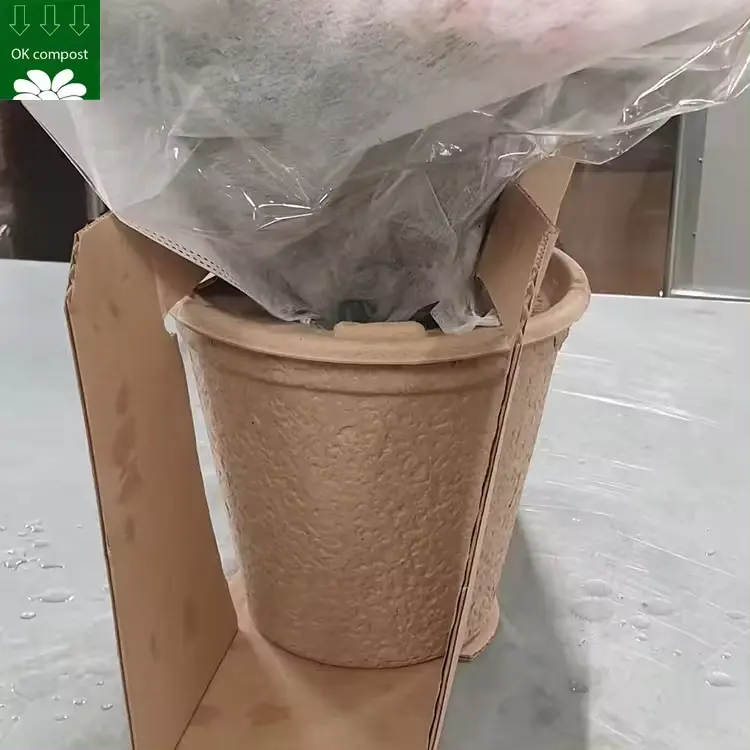 Servizio di personalizzazione compostabile bagassa in fibra modellato vasi da fiori Eco Friendly polpa biodegradabile per le piante