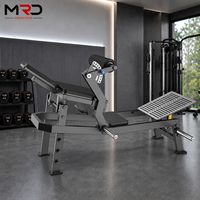 Machine à charge par disques pour fessiers, Extension de hanche, Entraîneur de fessiers, Entraînement de force du bas du corps, Équipement de fitness pour salle de sport