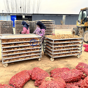 Hot-selling garlic dryer garlic slicing processing Energy-saving industrial garlic slices intelligent drying room - Product Image 6