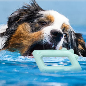 Jouets flottants pour chiens en TPR, motif dessin animé mignon multicolore, taille moyenne, pour l'intérieur/l'extérieur, emballés en sac, vente en gros par le fabricant Rena Pet - Product Image 3