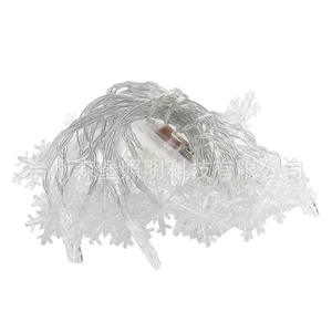 Customized Zodiac Party with Succulent Plant Gift <b>Box</b> Personalized Gift - Product Image 1