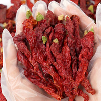 Piment rouge séché entier, assaisonnement piquant naturel séché au soleil pour Hot Pot, huile de piment, vente en gros directe d'usine, Halal