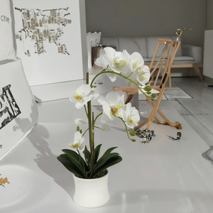 Piante di <span class=keywords><strong>Orchidea</strong></span> Artificiali in PEVA di Alta Qualità, Realistiche al Tatto, con Vaso, Fiori di <span class=keywords><strong>Orchidea</strong></span> con Vaso <span class=keywords><strong>per</strong></span> Decorazione d'Interni - Product Image 3