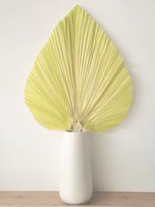 Décor mural Boho personnalisé pour fête de mariage, petits mini grands <span class=keywords><strong>éventail</strong></span>s naturels, feuilles de <span class=keywords><strong>palmier</strong></span> séchées, <span class=keywords><strong>éventail</strong></span>s, feuilles de <span class=keywords><strong>palmier</strong></span> - Product Image 5