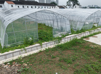 Serre tunnel commerciale à grande travée unique en acier galvanisé avec ombrage automatique et irrigation hydroponique