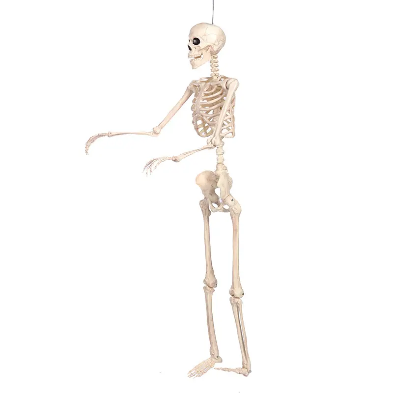 Large Props Animated Decoration Life Size Halloween Costume Skeleton