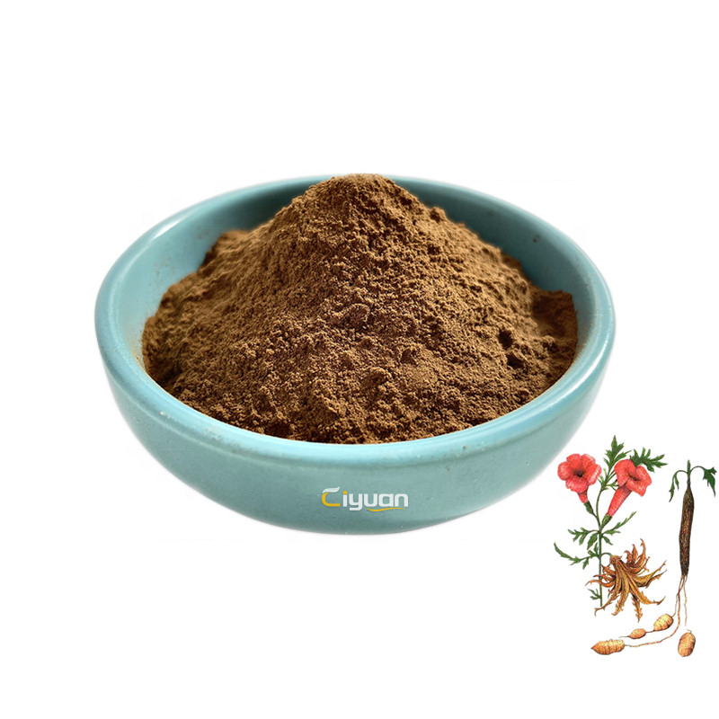 Werks versorgung Devil's Claw Root Extract Pulver Harpagosid