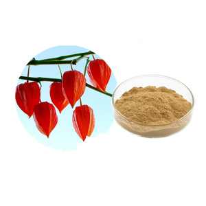 Extracto de Fruta de Calyx (<span class=keywords><strong>Physalis</strong></span>) en Polvo, Extracto de Calyx o Fructus <span class=keywords><strong>Physalis</strong></span> 20:1 - Product Image 1