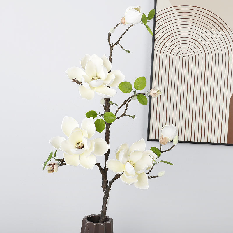 สีขาวกับสีเหลือง