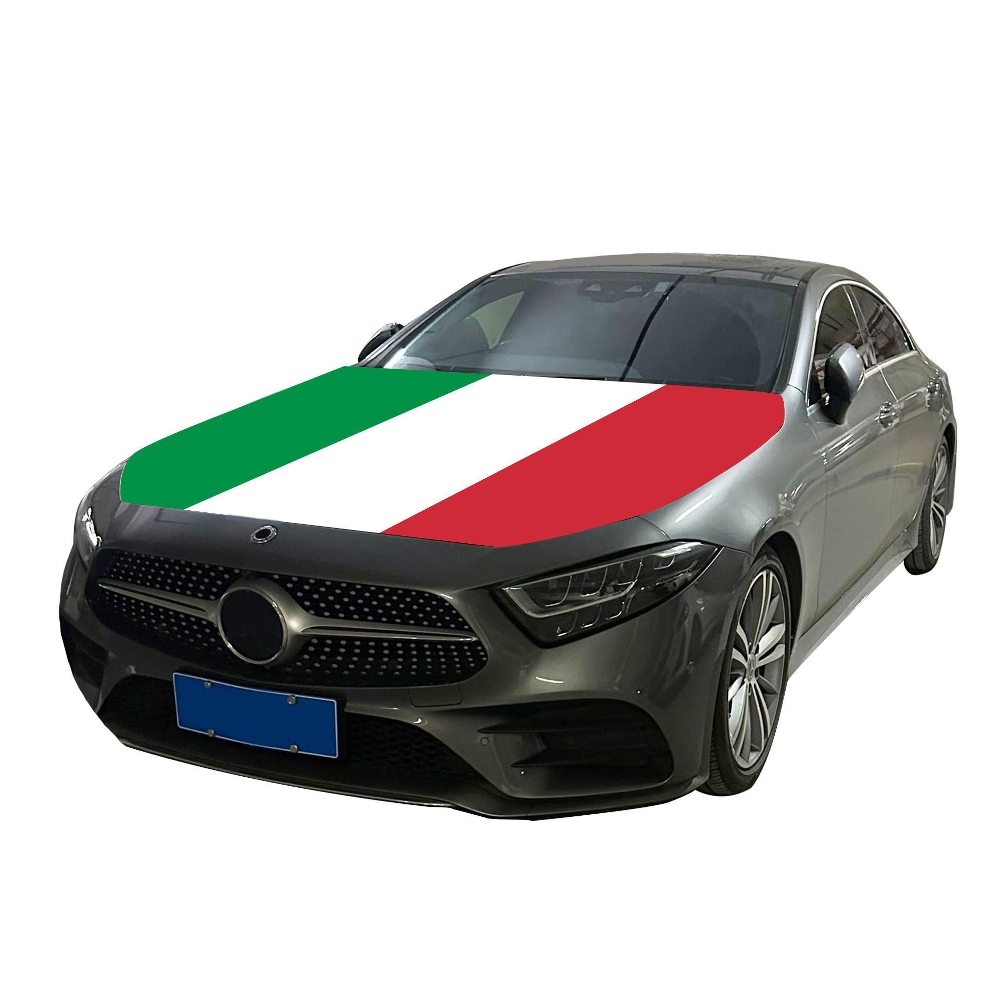 Italy Flag