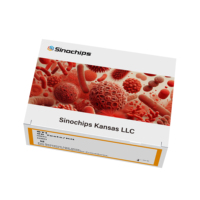 Kit de validación de infecciones de transmisión sexual Placa de 96 pocillos 0,1 mL Diseñado para verificación de rendimiento de ensayo de PCR molecular
