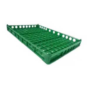 factory price plastic egg transport crate cage box 150 quail eggs transport crate