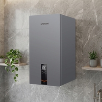 Chauffe-eau à gaz Loburton pour hôpitaux et cliniques, 99 kW, réservoir en acier inoxydable, chauffe-eau commercial et domestique au gaz naturel