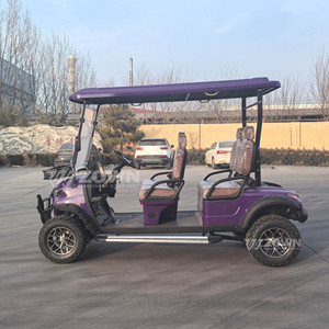 Carrito de Golf Eléctrico Premium de 4 Plazas, Batería de Litio de 72V, Altavoz, Homologado para Circular por la Calle, Venta Directa de Fábrica - Product Image 4