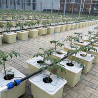 Système de culture aéroponique dwc pour la plantation intérieure à domicile Système de culture hydroponique complet pour jardin de tomates Seau hollandais
