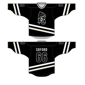 थोक सस्ती उच्च गुणवत्ता वाली नई मिनी आइस हॉकी जर्सी हॉट बिक्री अमेरिकी सभी टीम नेहलिंग सिलाई - Product Image 6