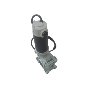 <span class=keywords><strong>Motor</strong></span> de cepillo de 24V CC con caja de cambios de reducción de gusano Nmrv40 RV30 rodamiento de bolas de velocidad para uso en máquina