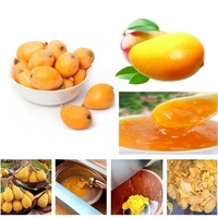 Mango Pulper Pulp Kloppend Fruit Jam Plakken Tomaat Saus Sap Making Machine Plantaardige Pulper Pulping Fruit Kloppend Machine