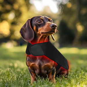Hond Kat Artrose Rood Licht Therapie Infrarood Wrap 850nm Led Therapie Licht Pad - Product Image 6