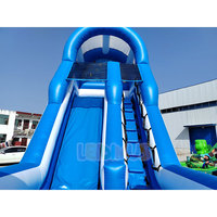 Toboggan Gonflable Sec Thème Monde Marin avec Motifs Étoile de Mer, Poisson et Pieuvre pour Enfants, Idéal pour Anniversaires et Événements