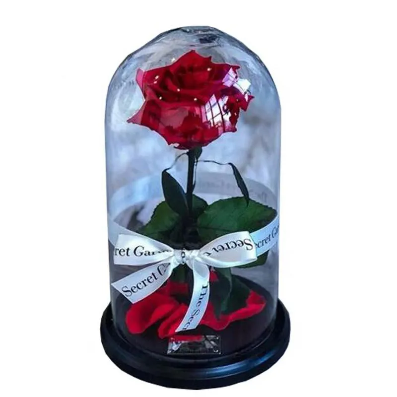 Cúpula de vidro para conservas de flor por atacado rosa exibição
