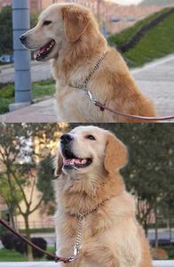 Kingtale Pet Accessoire Stalen Hond Choke Huisdier Training Keten Duurzame Opp Bag + Kartonnen Doos Kraag Zilver Massief Klinknagel - Product Image 4