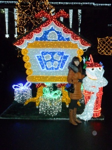 LED House <b>Fairy</b> <b>Light</b> Warm White - <b>Battery</b> <b>Operated</b> House Shaped LED <b>Light</b> for Indoor Decor - Product Image 1