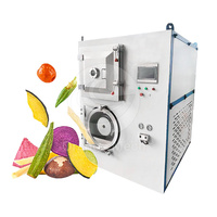 ORME Machine de lyophilisation Mini machine à lyophiliser la récolte des fruits Lyophilisateur sous vide droit à vendre